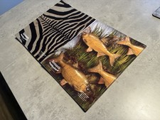 Taxidermy & Natural History Auction Catalogues August/ November 2024