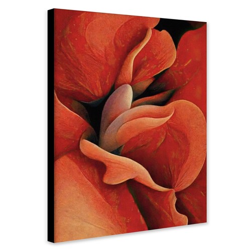 Orange rose wall art - rose,