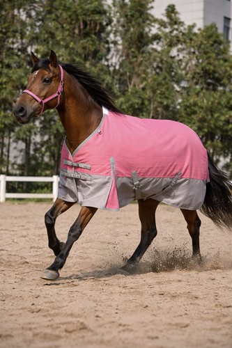50g horse turnout - 50g, 600d