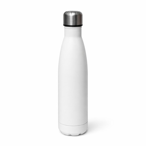 Stainless steel water bottle - stainless,