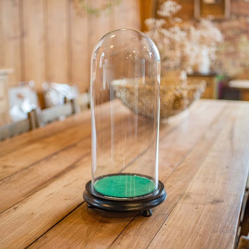 Antique collector dome - antique, collector's