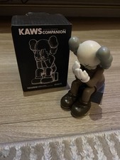 Kaws Passing Through Companion