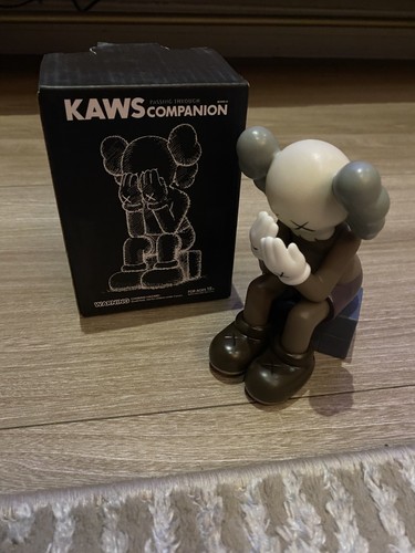 Kaws passing through companion - kaws,