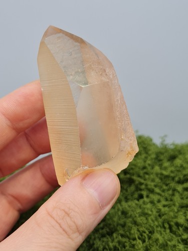 Rough tangerine lemurian - tangerine,