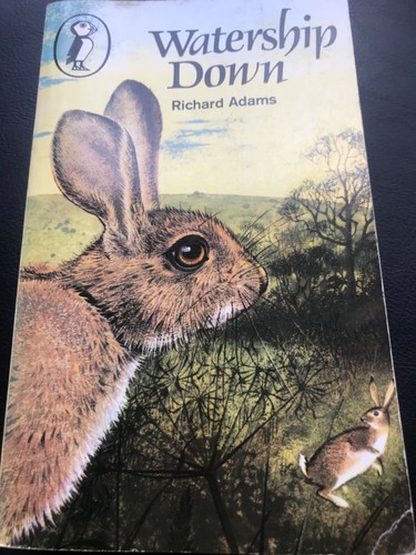 Watership down book - book,