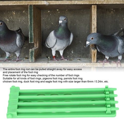 Pigeons foot ring holder - foot,
