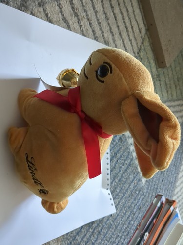 Lindt gold bunny plush - bunny, rabbit