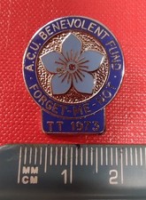 Vintage enamel badge