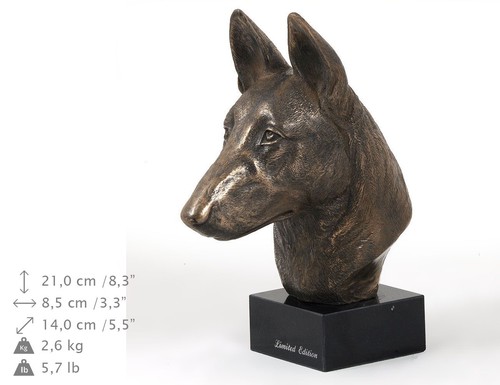 Belgian shepherd dog - belgian,