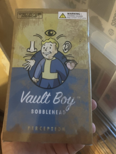 Gaming heads fallout - gaming, boy