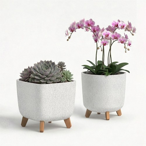 Plant pots with - pots,