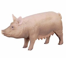 20853 epixx Revell World of