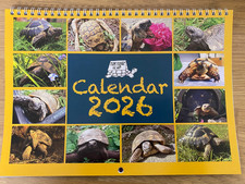 Norfolk tortoise club 2026