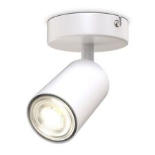 Ceiling Light 1 Way Single