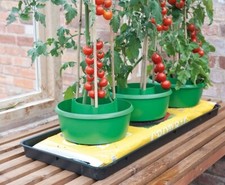 3pk Tomato Grow Pots Square Version Available Garden Greenhouse Growbag Pots