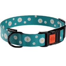 Adjustable Nylon Dog Collar