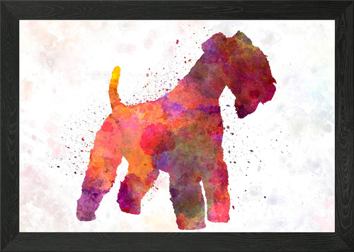 Lakeland terrier dog - lakeland,