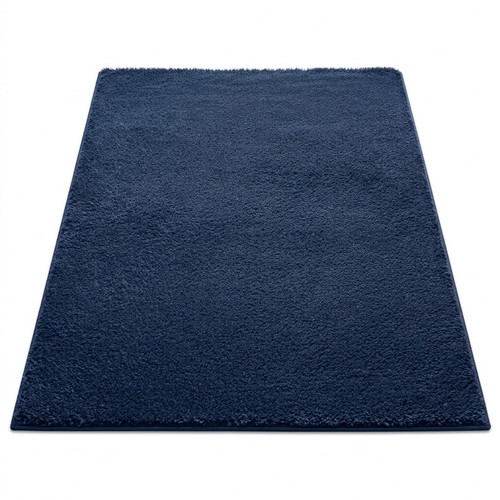 Large area rug - modern, floor