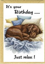 Labrador Retriever Chocolate