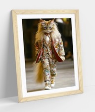 Glamorous cat fancy - cat,