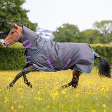 Shires Tempest Original 300g Turnout Rug and Neck Set - Black