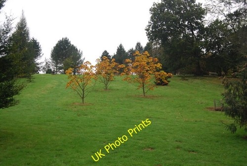 Photo 6x4 autumn colour - 6x4,