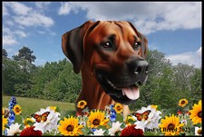 Rhodesian Ridgeback Summer Flowers Door Mat
