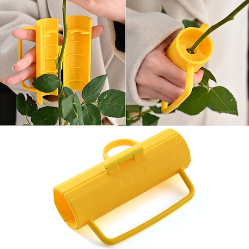Rose thorn remover - thorn,