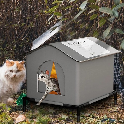 Cat house for outdoor - house,