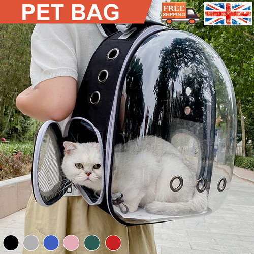 Astronaut window dog - dog, cat