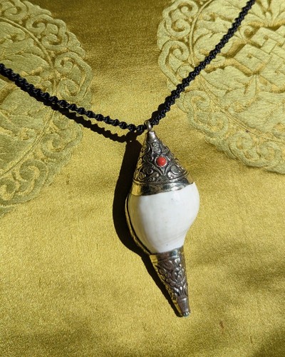 Tibetan conch shell - tibetan, horn