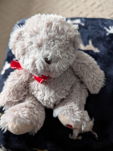 Cute grey valentine - valentine, bear
