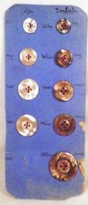 9 Abalone Shell Buttons