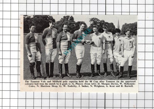 Taunton vale polo millfield - vale,
