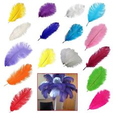35-60cm Large Ostrich Feathers Long Plume Craft Costume Wedding Party Decoration