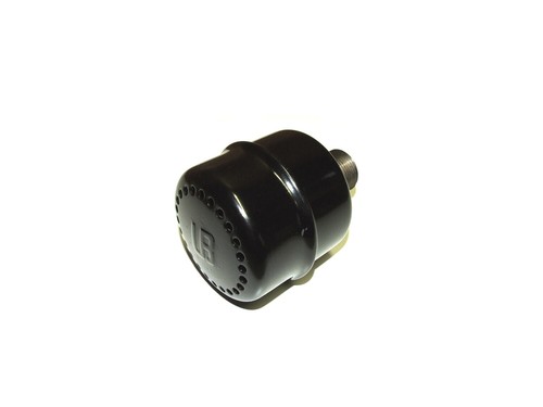 Inch bsp stationary engine - 1,
