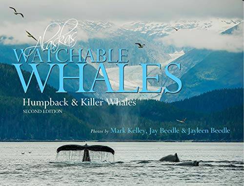 Alaska watchable whales - watchable,