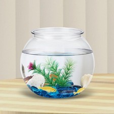 Transparent Small Tank, Fishes