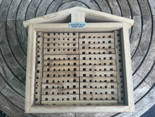 Mason Solitary Bee Observation