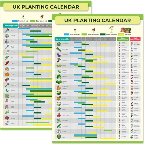 Gardening allotment planting - gardening,