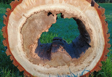 Circle log sculptural letter