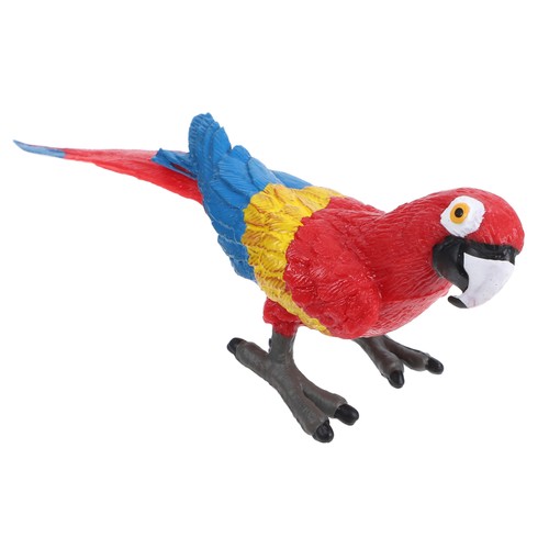 Parrots cute little birds - cute,