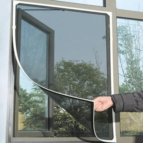Window fly screen insect - window,
