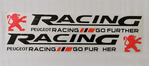 Pair racing car body - a,