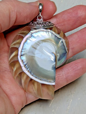 Large Nautilus Shell Pendant