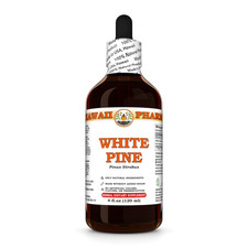 White Pine (Pinus Strobus)