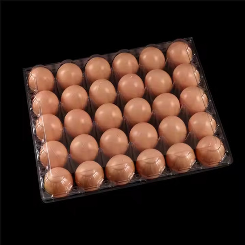 Fresh egg holders - fresh,
