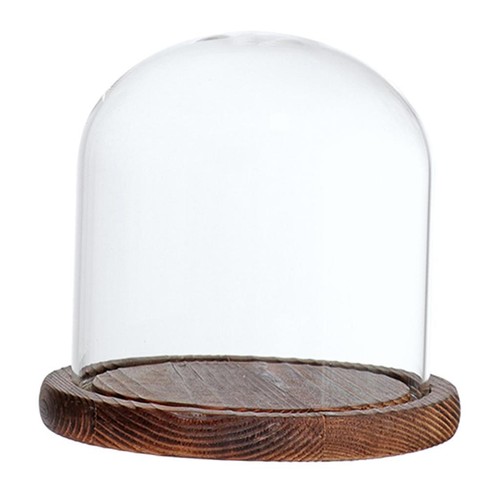 Glass dome cloche with - dome,