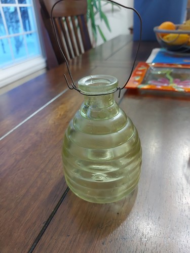 Vintage glass wasp bee trap - vintage,
