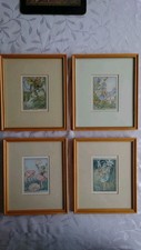 Cicely Mary Barker - Vintage 1912 Flower Fairies Framed Print.